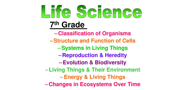 7th Grade Life Science ProProfs Quiz